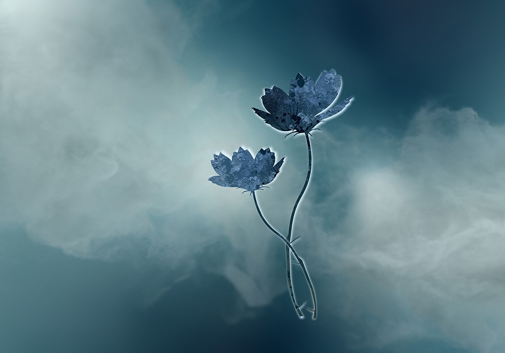 デジタルサイネージ導入 株式会社ピークスマインド